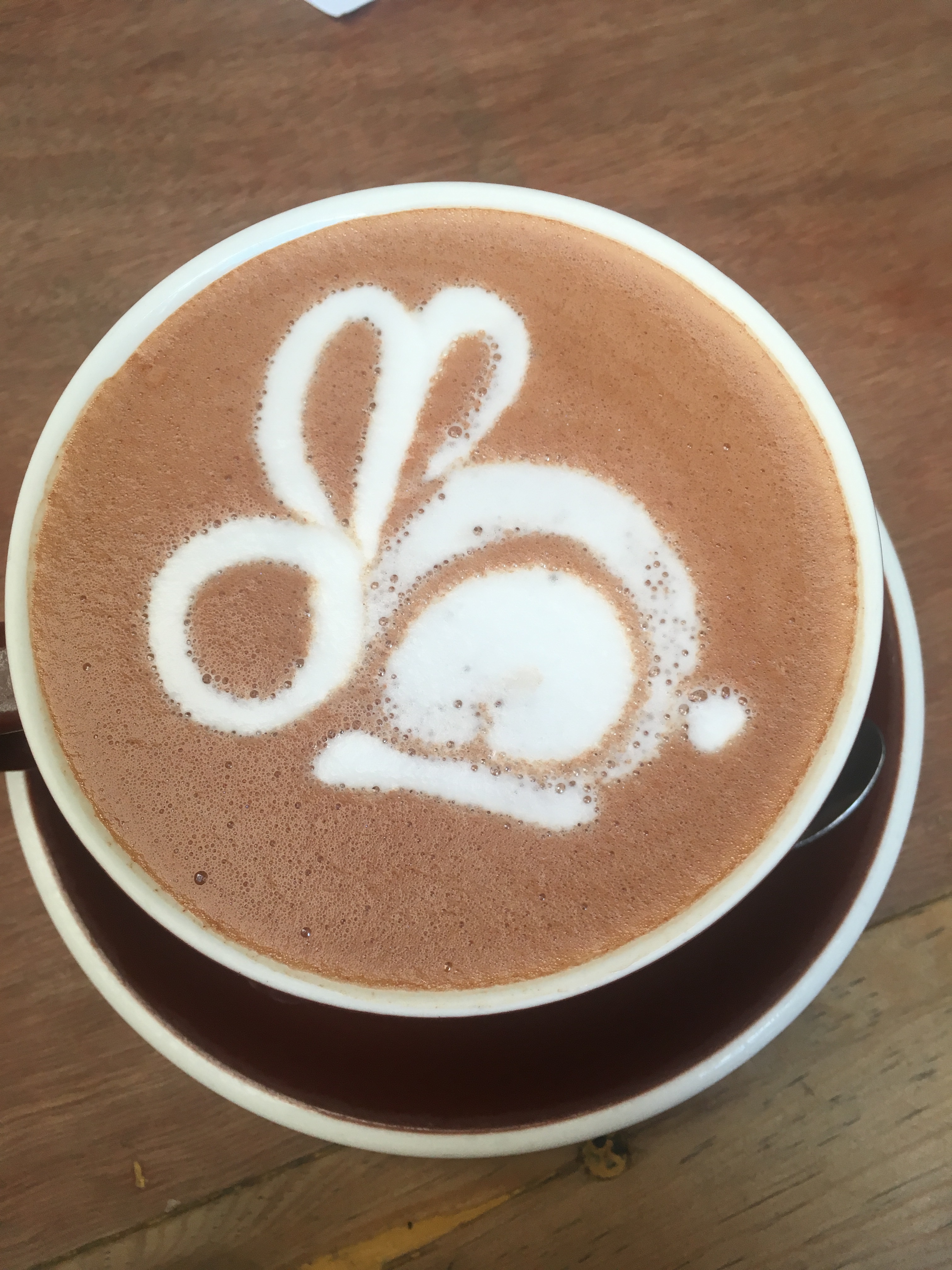 Oaxaca City : day 12